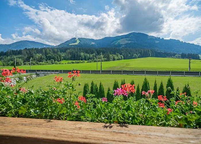 Gamper - Alpline Kg *