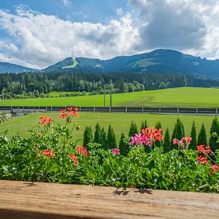 Gamper - Alpline Kg *